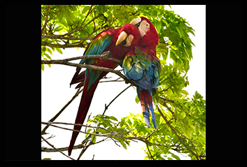 Project-Image-2